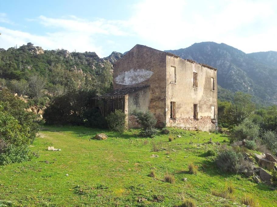 Casa Viola Di Maria Gabriella, San Vito A 25 Minuti Da Costa Rey E Villasimius מראה חיצוני תמונה