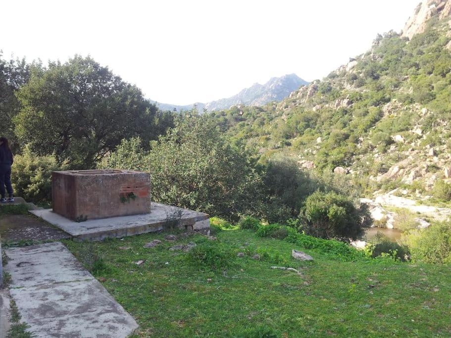 Casa Viola Di Maria Gabriella, San Vito A 25 Minuti Da Costa Rey E Villasimius מראה חיצוני תמונה